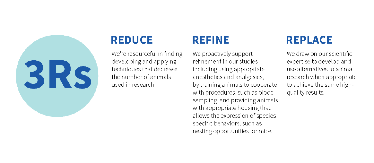 Three R's - Reduce, Refine, Replace