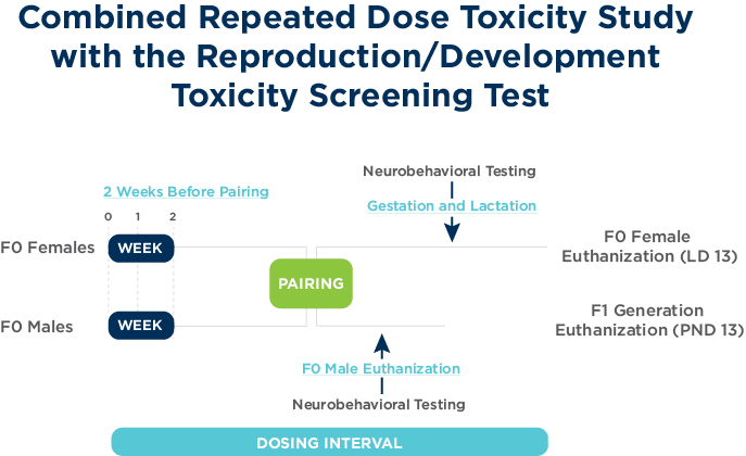Combined Repeated Dose Toxicity Study with the Reproduction/Development Toxicity Screening Test
