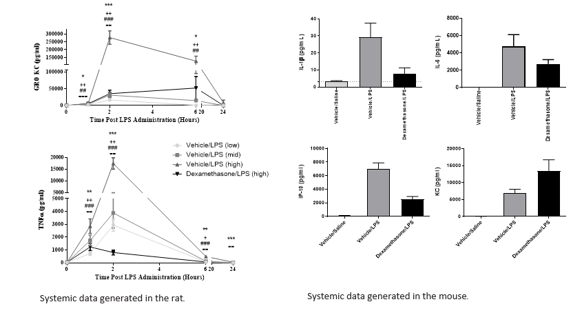Systemic data generated in the rat and Systemic data generated in the mouse.