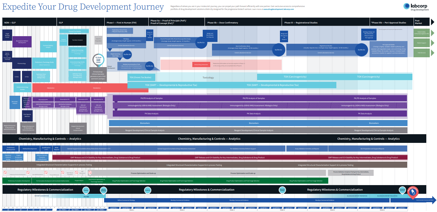 Drug development journey timeline