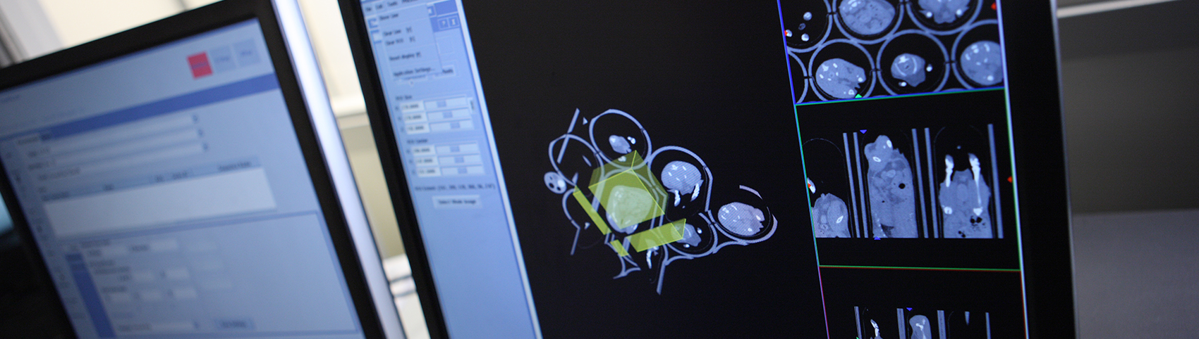 コンピュータの画面に表示された生物発光画像法の画像