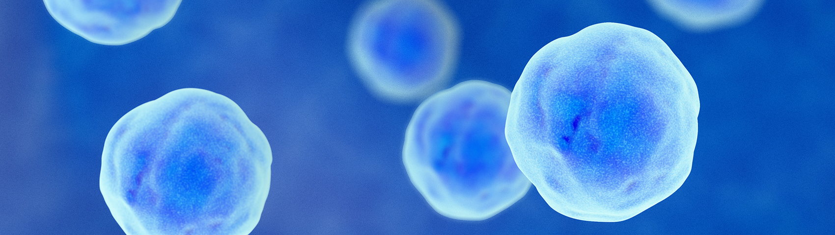 Imagen microscópica de células. Se presentan como redondas y azules