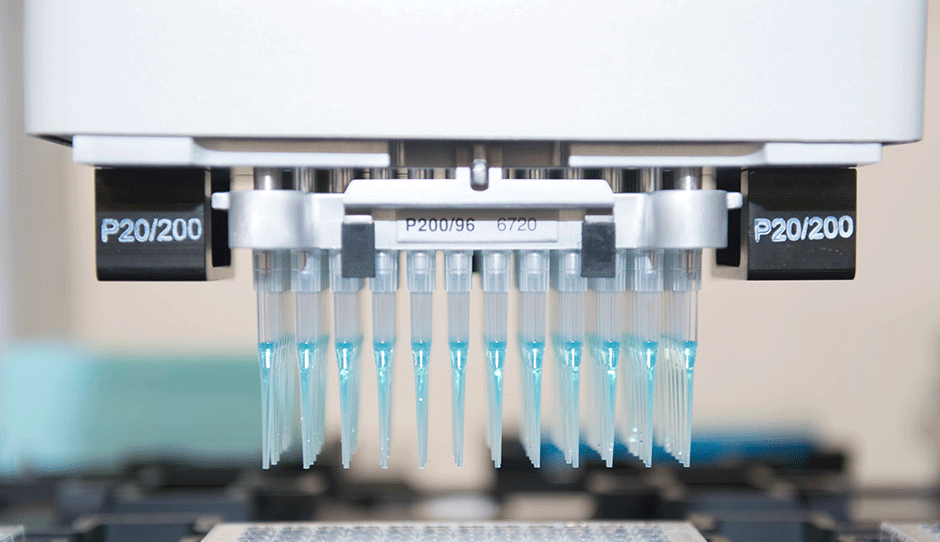 Pipettes full of material hovering over collection container