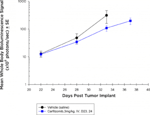 Abb. 3b: Anti-Tumor-Wirkungen von Carfilzomib auf die disseminierte 5TGM1-luc-Krankheit bei C57BL/KaLwRij-Mäusen