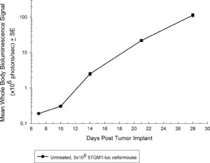 Abb. 1: Wachstumskinetik von 5TGM1-luc in immunkompetenten C57BL/KaLwRij-Mäusen von BLI
