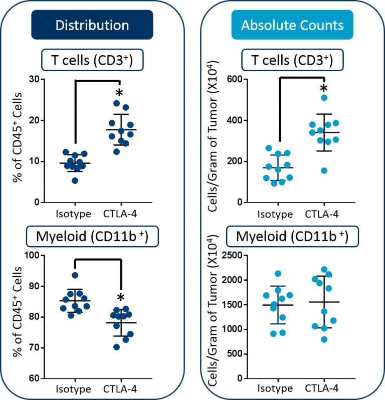 Abb. 2: Verteilung gegenüber absoluten Zählmessungen von T-Zellen und myeloischen Zellen in CT26-Tumoren. Statistical analysis was performed using a Student’s t-test (*p<0,05).