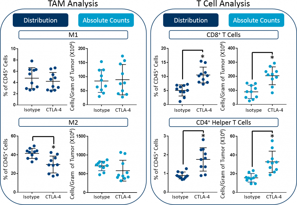 Fig. 3: Distribution versus absolute count measurements of M1 and M2 TAMs, CD8+ T cells, and CD4+ helper cells in CT26 tumors. Statistical analysis was performed using a Student’s t-test (*p<0.05).