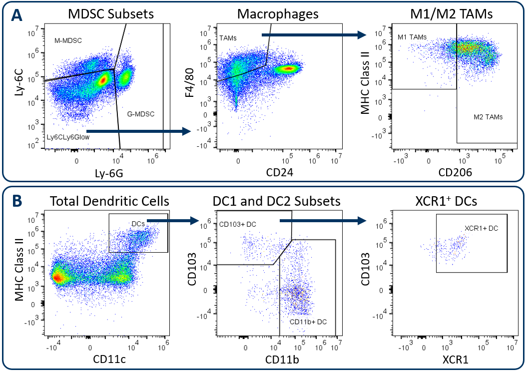 Figure. 1. Analysis of tumor-infiltrating myeloid subsets using the Expanded CompMyeloid™ panel.