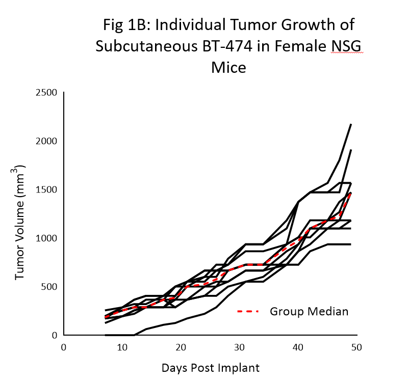 Fig 1B: Individual Tumor Growth of Subcutaneous BT-474 in Female NSG Mice