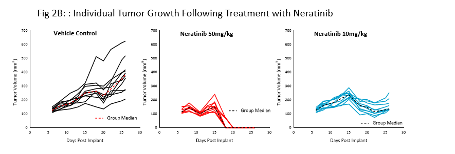 Fig 2B: Individual Growth Following Treatment with Neratinib