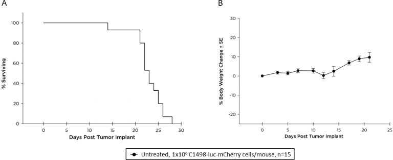 Abb. 2: Überlebenskinetik (A) und Körpergewichtsveränderung (B) von C57BL/6-Mäusen mit disseminierter C1498-luc-mCherry AML.