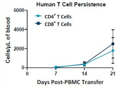 Abbildung 2. Messung der Persistenz menschlicher T-Zellen in Mäusen über 21 Tage.