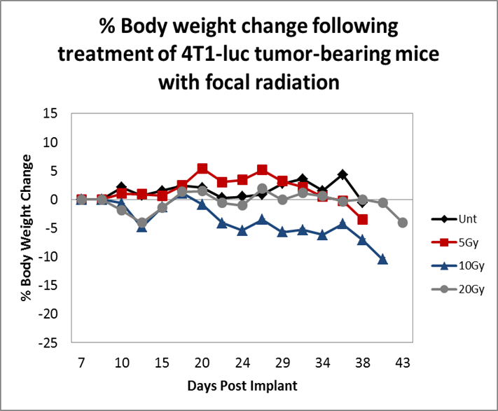 Abbildung 3: Veränderung des Körpergewichts in Prozent im Zeitverlauf