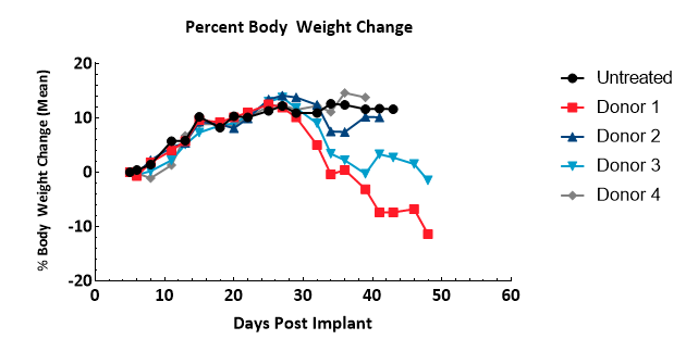 Figure 3 – Assessment of bodyweight change following administration of hPBMCs