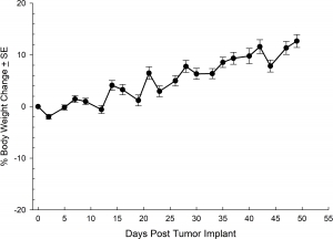 Abb. 7: Änderung des Körpergewichts in % nach orthotopischer Implantation von NCI-H1703