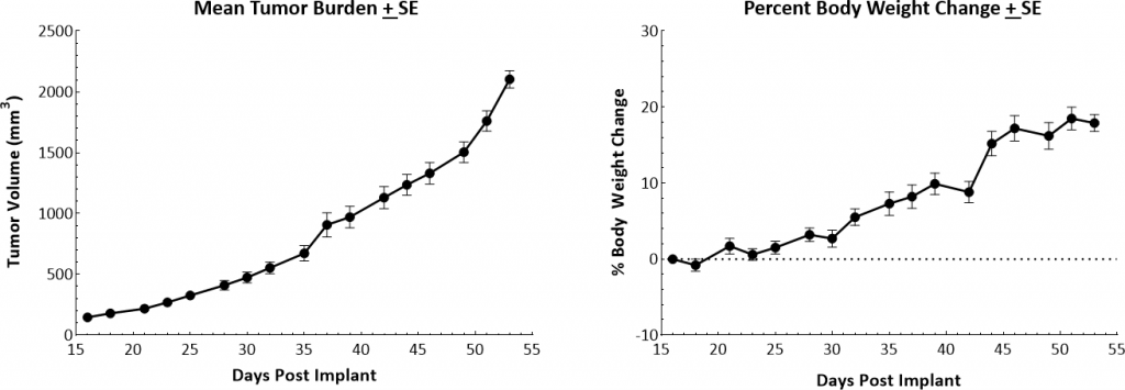 Abb. 1: Wachstumskinetik und Körpergewichtsveränderungen von MMTV-PyMT-Tumoren bei weiblichen FVB/NJ-Mäusen.
