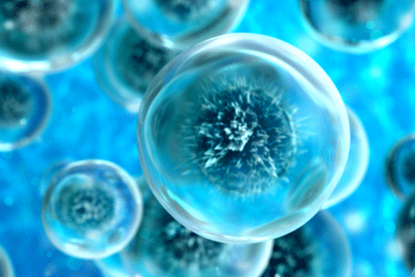Concepto abstracto de célula. Ilustración en 3D bajo un microscopio
